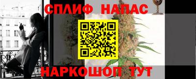 прущие грибы Гусев