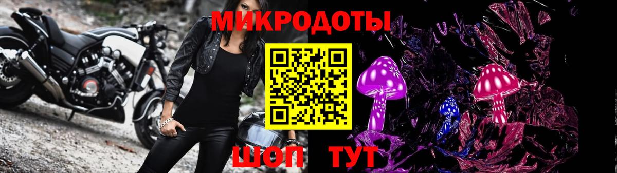Галлюциногенные грибы Psilocybe Можга